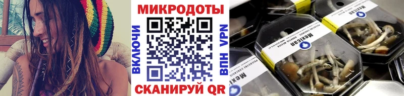 Псилоцибиновые грибы MAGIC MUSHROOMS  Новоалександровск 