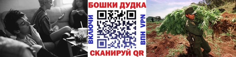 где можно купить наркотик  Новоалександровск  Бошки марихуана ГИДРОПОН 